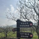 하동 구재봉 휴양림, 최참판댁, 혜성식당 여행 후기🌸