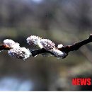 떡버들공원 이미지