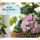 두꺼비집 이미지