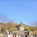 이천리 배내고개 일원 | [공지] 영남알프스7봉(천황산)완등