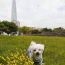 홍금보미용실 이미지