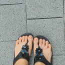 미도헬스타운 | 7월 2번째 포덤프♡ : 캐리비안베이 카바나 빌리지 두 채 쓴 후기