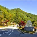 석포로1길 이미지