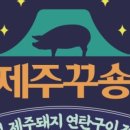 제주꾸숑