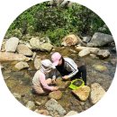 산하식당 | 팔공산 아이랑 계곡 식당 맛집 평상 물놀이 산하식당