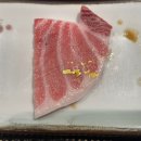 와참치 이미지