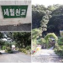채골안 이미지