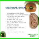 식욕이 없을 때, 걷기가 특효약 이다 / 생활이침.홍채임상학 -최만규교수- 이미지