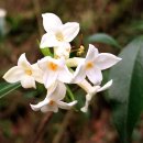 제주 올레길 14-1코스 이미지