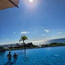 아르떼 카사 | 칸쿤 스칼렛아르떼 수영장 총정리 1_ 카사 델 디세뇨, 메인풀, 칸쿤 햇빛알러지, 식사 가능한 수영장...