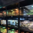 역삼1-136 | [강남이색카페 BEST] 슬로우커피 역삼점 방문후기!!😋