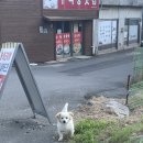 공차울산 이미지