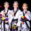 월드태권도 이미지