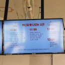 루디꼬(rudico) 이미지