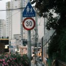 매그네이트 이미지