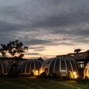 (주)돔돔 이미지