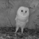 천둥소리 이미지