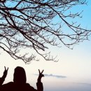 남한산성 청와정 펜션 이미지