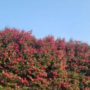 어둔목장 이미지