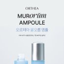앰플디자인 이미지