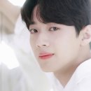 메이르나 이미지