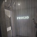 일프로 애견 이미지