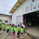 피카소 목장 이미지