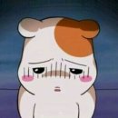 옌네일 이미지