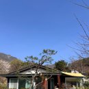 182 | 남양주 숙소 에어비앤비 추천 <채이네> 인스타 갬성 단체 독채 팬션
