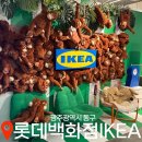 &lt;광주광역시&gt; 롯데백화점 팝업 스토어 쇼룸, 인테리어 소품 추천템 “이케아”