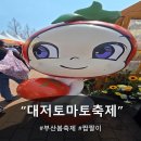 [부산/강서]2025 부산 대저 토마토 축제 짭짤이