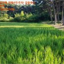 대천 태양광발전소 이미지