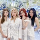 예지라이브