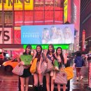 코스 이미지