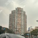 갓랜드몰 | [2026.01.26~29]상하이 여행(정대광장, 페이다추, 칭즈핸드크림, 홀리랜드케이크, 디즈니랜드)