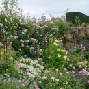 장미정원 이미지