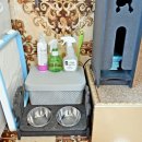 라라랜드 애견 펜션 이미지