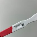 켈스러닝 이미지