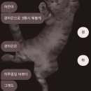 지피크루 이미지