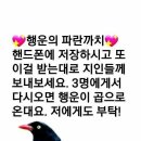 파랑새 Daum카페