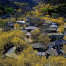 산동농산 이미지