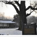 서계마을 이미지