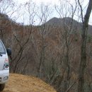 채열농장 Daum카페