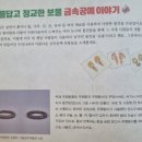 금속옷나라