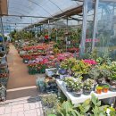 식송농장 이미지