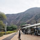 겨울 국내여행 문경 레일바이크 탑승 후기 진남역 (가격, 예약방법, 시간, 사격장 할인)