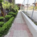 목화공인중개사사무소 이미지