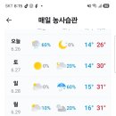 오늘 병실 밖을 한 발짝도 안 나갔다. 이미지