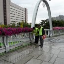 팔달육교 이미지