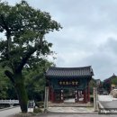 KTX울산역안내소 이미지